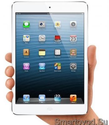  iPad Mini ( iPad)